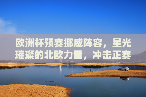 欧洲杯预赛挪威阵容，星光璀璨的北欧力量，冲击正赛席位，星光璀璨北欧力量，挪威冲击欧洲杯正赛席位