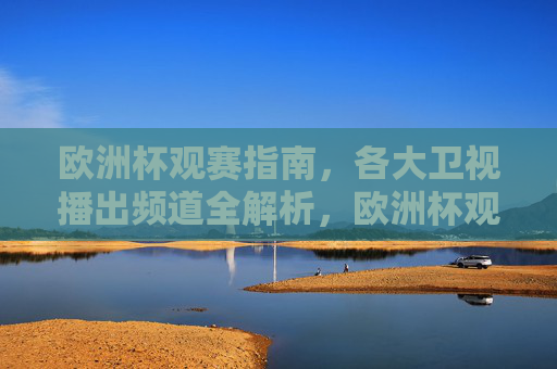 欧洲杯观赛指南，各大卫视播出频道全解析，欧洲杯观赛指南，各大卫视播出频道全解析