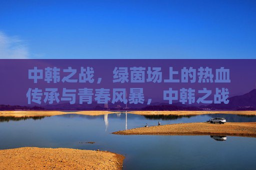 中韩之战,绿茵场上的热血传承与青春风暴,中韩之战,绿茵场上的热血传承与青春风暴