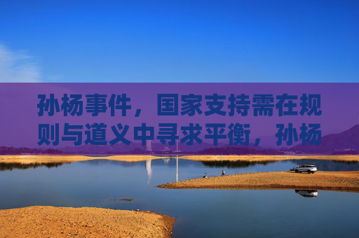 孙杨事件,国家支持需在规则与道义中寻求平衡,孙杨事件,国家支持需平衡规则与道义
