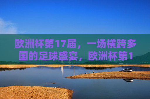 欧洲杯第17届，一场横跨多国的足球盛宴，欧洲杯第17届横跨多国足球盛宴