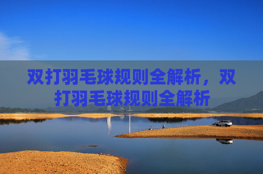 双打羽毛球规则全解析，双打羽毛球规则全解析
