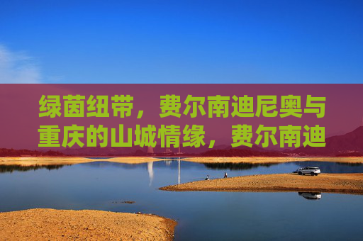 绿茵纽带,费尔南迪尼奥与重庆的山城情缘,费尔南迪尼奥,绿茵纽带里的山城情缘