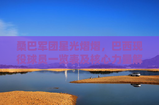 桑巴军团星光熠熠,巴西现役球员一览表及核心力量解析,桑巴军团星光熠熠,现役球员与核心力量解析