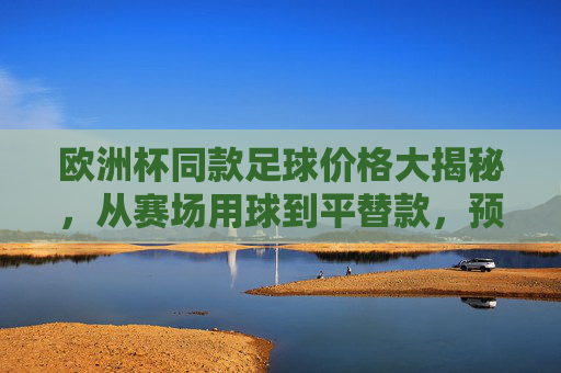 欧洲杯同款足球价格大揭秘，从赛场用球到平替款，预算多少能入手？欧洲杯同款足球价格大揭秘，从赛场用球到平替款，预算多少能入手？