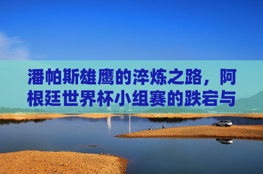 潘帕斯雄鹰的淬炼之路，阿根廷世界杯小组赛的跌宕与坚守，潘帕斯雄鹰的淬炼，世界杯小组赛跌宕坚守