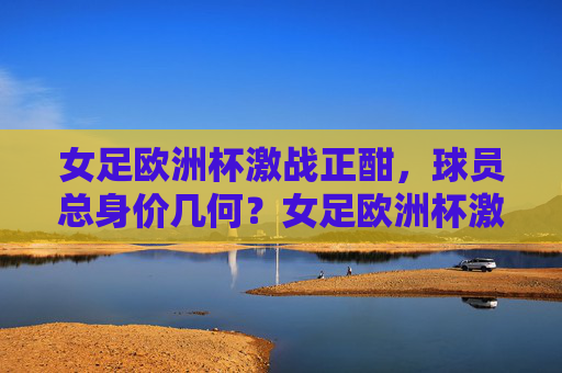 女足欧洲杯激战正酣,球员总身价几何?女足欧洲杯激战,球员总身价几何?
