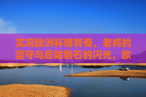 实况欧洲杯博努奇,老将的坚守与后防磐石的闪光,欧洲杯博努奇,老将坚守,后防磐石闪光