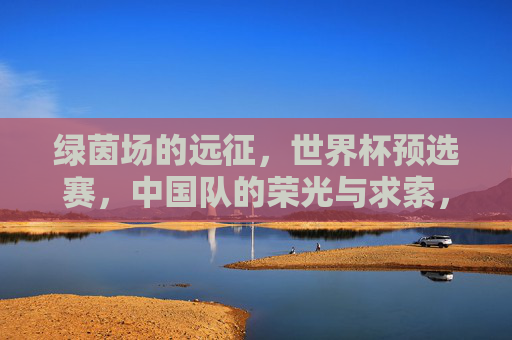 绿茵场的远征,世界杯预选赛,中国队的荣光与求索,绿茵远征,世界杯预选赛的中国荣光与求索