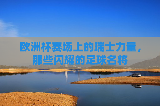 欧洲杯赛场上的瑞士力量,那些闪耀的足球名将