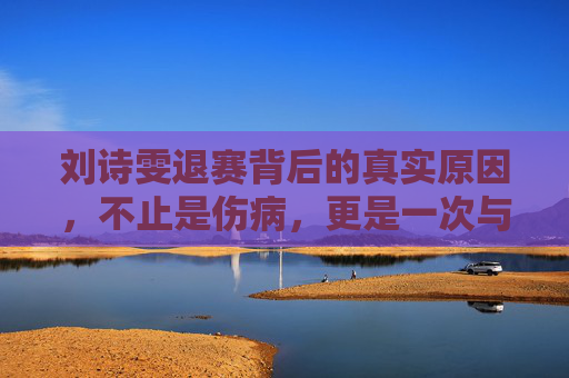 刘诗雯退赛背后的真实原因,不止是伤病,更是一次与自我的和解,刘诗雯退赛真实原因,不止伤病,更是与自我的和解