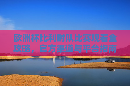 欧洲杯比利时队比赛观看全攻略,官方渠道与平台指南,欧洲杯比利时队官方渠道与平台观赛指南