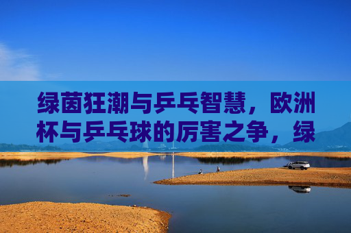 绿茵狂潮与乒乓智慧,欧洲杯与乒乓球的厉害之争,绿茵狂潮与乒乓智慧,欧洲杯与乒乓球的巅峰对决