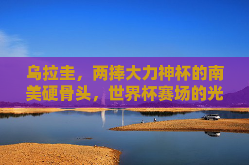 乌拉圭,两捧大力神杯的南美硬骨头,世界杯赛场的光荣与梦想,乌拉圭,两捧大力神杯的南美硬骨头与世界杯荣光