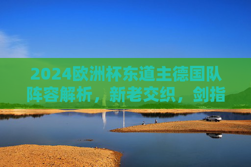 2024欧洲杯东道主德国队阵容解析,新老交织,剑指冠军之巅