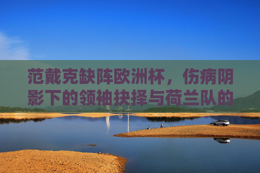 范戴克缺阵欧洲杯,伤病阴影下的领袖抉择与荷兰队的无锋之困,范戴克缺阵欧洲杯,伤病领袖抉择与荷兰无锋困局