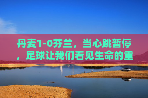 丹麦1-0芬兰,当心跳暂停,足球让我们看见生命的重量