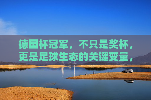 德国杯冠军,不只是奖杯,更是足球生态的关键变量,德国杯冠军,足球生态的关键变量