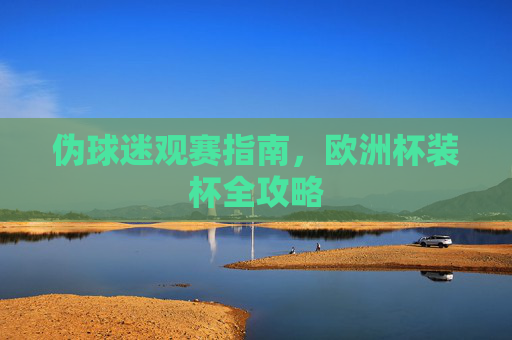 伪球迷观赛指南,欧洲杯装杯全攻略