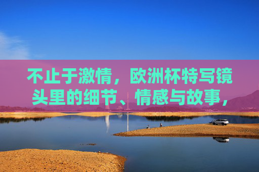 不止于激情,欧洲杯特写镜头里的细节、情感与故事,欧洲杯特写,镜头下的细节、情感与赛场故事