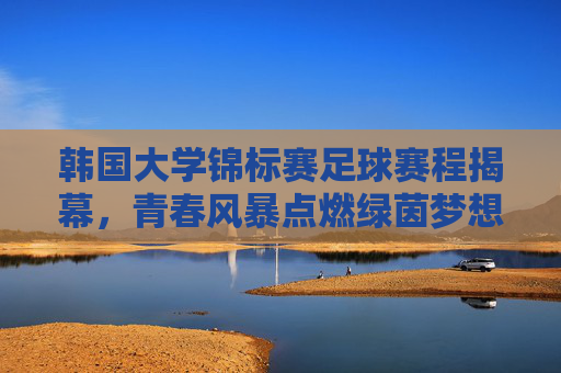 韩国大学锦标赛足球赛程揭幕，青春风暴点燃绿茵梦想，韩国大学锦标赛揭幕，青春风暴点燃绿茵梦想