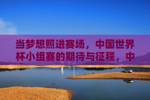 当梦想照进赛场，中国世界杯小组赛的期待与征程，中国世界杯小组赛，梦想征途启幕