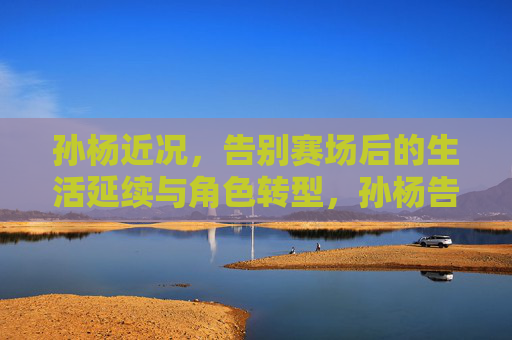 孙杨近况,告别赛场后的生活延续与角色转型,孙杨告别赛场后,生活延续与角色转型