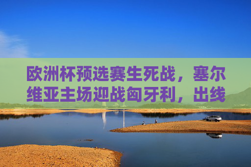 欧洲杯预选赛生死战，塞尔维亚主场迎战匈牙利，出线权之争一触即发，欧洲杯预选赛生死战，塞尔维亚主场迎战匈牙利，出线权之争一触即发