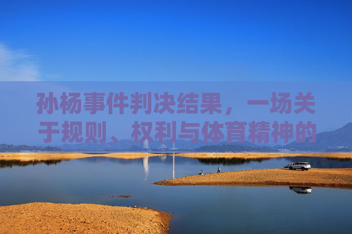 孙杨事件判决结果,一场关于规则、权利与体育精神的深刻审视,孙杨事件判决,规则、权利与体育精神的深刻审视