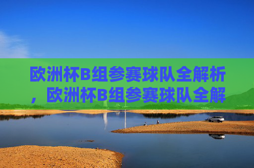 欧洲杯B组参赛球队全解析,欧洲杯B组参赛球队全解析