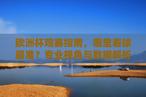 欧洲杯观赛指南，哪里看球最准？专业视角与数据解析助你精准判断，欧洲杯观赛指南，专业视角与数据解析助精准判断