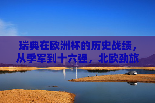 瑞典在欧洲杯的历史战绩,从季军到十六强,北欧劲旅的起伏之路,瑞典欧洲杯起伏之路,从季军到十六强