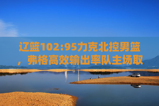 辽篮102:95力克北控男篮,弗格高效输出率队主场取关键胜,弗格高效输出,辽篮主场102:95力克北控取关键胜