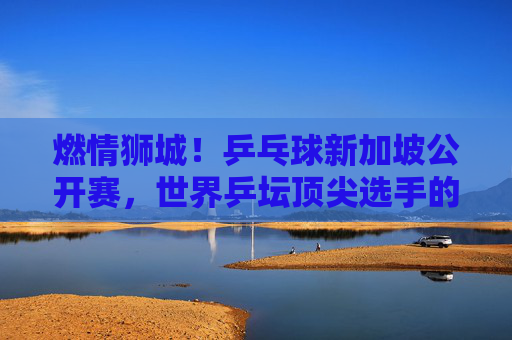 燃情狮城！乒乓球新加坡公开赛，世界乒坛顶尖选手的巅峰对决，燃情狮城！乒乓球新加坡公开赛巅峰对决