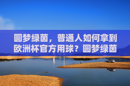 圆梦绿茵,普通人如何拿到欧洲杯官方用球?圆梦绿茵,普通人如何拿到欧洲杯官方用球?