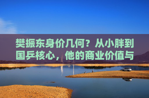 樊振东身价几何?从小胖到国乒核心,他的商业价值与财富版图解析,樊振东,从小胖到国乒核心的商业价值与财富版图