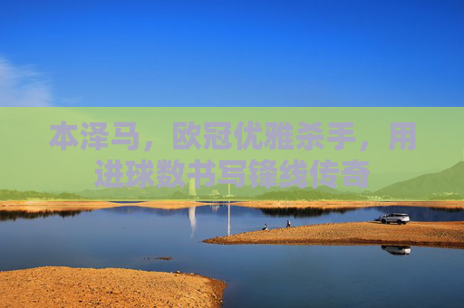 本泽马,欧冠优雅杀手,用进球数书写锋线传奇
