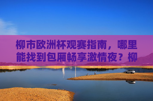柳市欧洲杯观赛指南,哪里能找到包厢畅享激情夜?柳市欧洲杯观赛指南,包厢畅享激情夜攻略