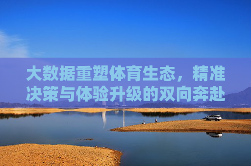 大数据重塑体育生态,精准决策与体验升级的双向奔赴,大数据重塑体育生态,精准决策与体验升级的双向奔赴