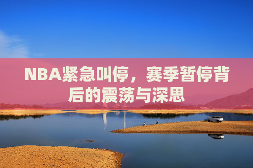 NBA紧急叫停,赛季暂停背后的震荡与深思
