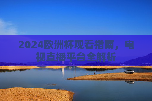 2024欧洲杯观看指南,电视直播平台全解析