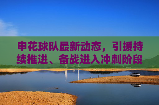 申花球队最新动态，引援持续推进、备战进入冲刺阶段，阵容调整引关注，申花引援备战冲刺 阵容调整引关注