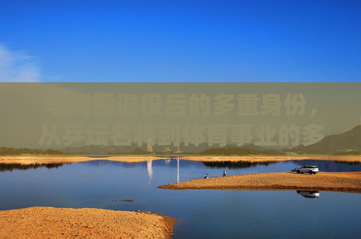 李晓霞退役后的多重身份,从乒坛名将到体育事业的多元深耕,李晓霞退役后的多重身份,从乒坛名将到体育事业多元深耕