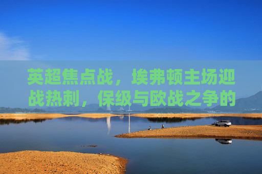 英超焦点战,埃弗顿主场迎战热刺,保级与欧战之争的火花,英超焦点战,埃弗顿主场迎战热刺,保级与欧战之争