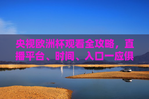 央视欧洲杯观看全攻略，直播平台、时间、入口一应俱全，央视欧洲杯观看全攻略，直播平台、时间、入口一应俱全