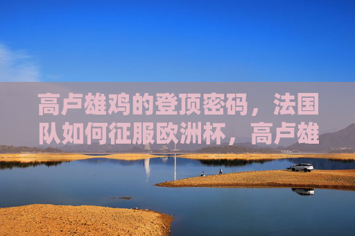 高卢雄鸡的登顶密码,法国队如何征服欧洲杯,高卢雄鸡的登顶密码,征服欧洲杯