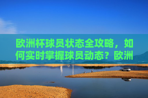 欧洲杯球员状态全攻略，如何实时掌握球员动态？欧洲杯球员状态实时掌握全攻略