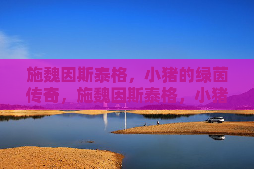 施魏因斯泰格,小猪的绿茵传奇,施魏因斯泰格,小猪的绿茵传奇
