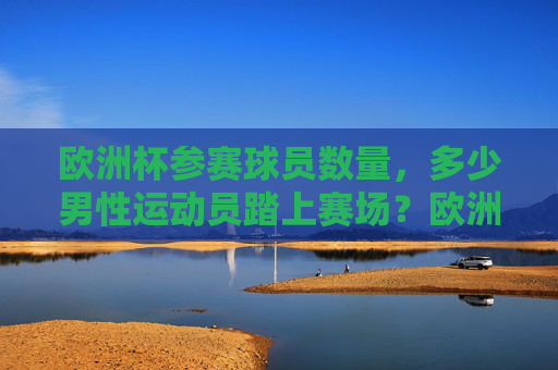 欧洲杯参赛球员数量,多少男性运动员踏上赛场?欧洲杯参赛男性运动员数量