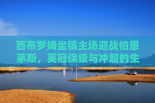 西布罗姆坐镇主场迎战伯恩茅斯，英冠保级与冲超的生死对话，西布罗姆坐镇主场迎伯恩茅斯，英冠保级与冲超生死战